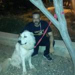 tareq qteshat