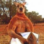 Billy_the_roo