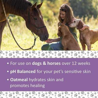 #Veterinary Clinical #Antiparasitic & #Antiseborrheic Medicated #Dog_Shampoo Profile Picture