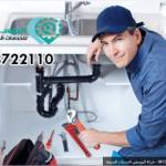 خدمات الحشرات