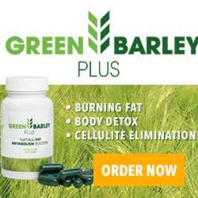 Green Barley Plus Benefit In Weight Loss Profile Picture