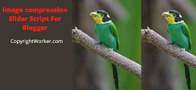 Image Comparison Slider Script For Blogger-CopyrightWorker.com