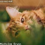 Zachariah Schulist