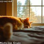 Devyn Emard