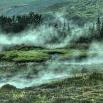 Clementine Halvorson