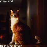 Garth Considine