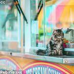 Mozell Predovic