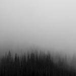 Brandon Moen