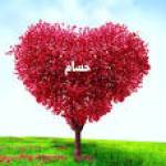 Hossam Abdel rahman Elsaid profile picture