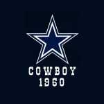 dallas Cowboys Fan fan dallas cowboys