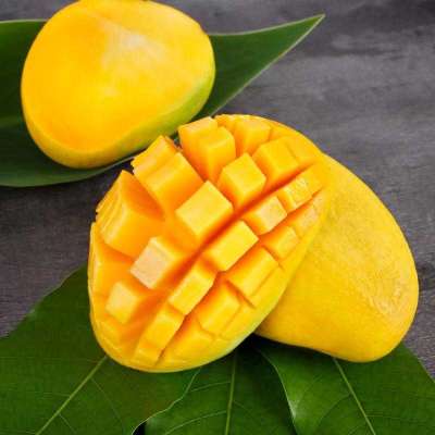 Order Fresh Safeda Mangoes At The Best Price in India Profile Picture