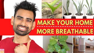 How to Breathe Fresher Air Instantly in 3 Simple Steps (Air Pollution)