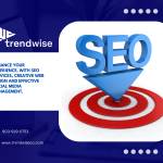 Trendwise Consulting
