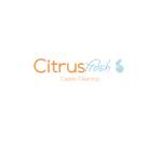 Citrus fresh carpet cleaning