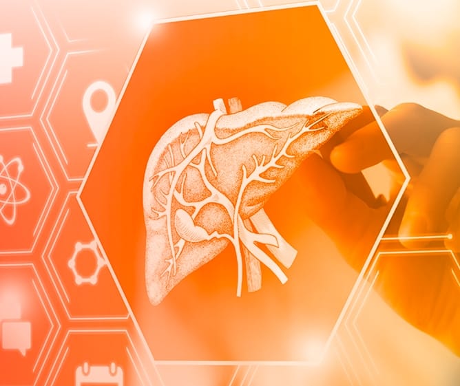 HepatoBurn: The Hidden Key to Rapid Fat Loss! (2025) - NeatNiche