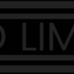Richmond Limousine VA