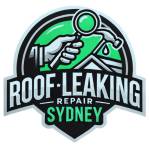 Roof Leaking Repair Sydney