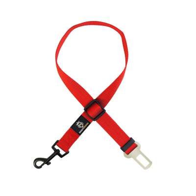 Tooth Cleaning Chew Dog Ball & Toy Profile Picture