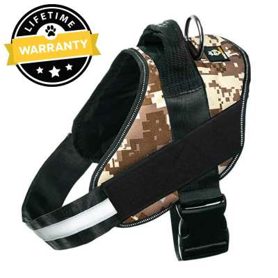 Lifetime Warranty Personalized NO PULL Harness Profile Picture
