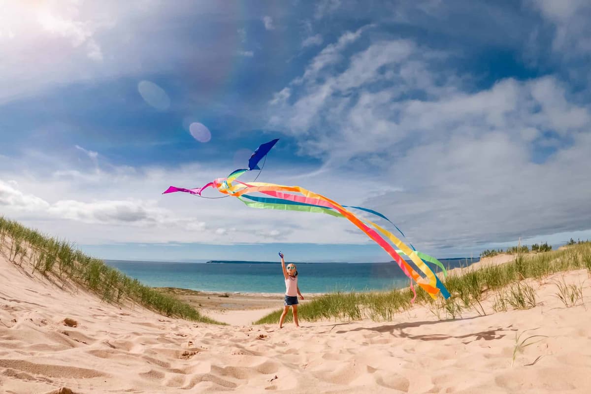 Chasing the Wind: A Beginner’s Guide to Kites